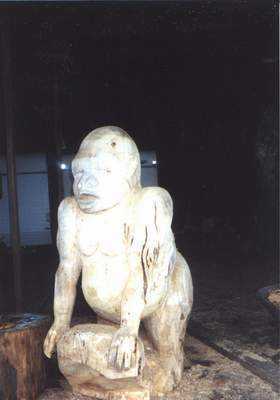 King-kong